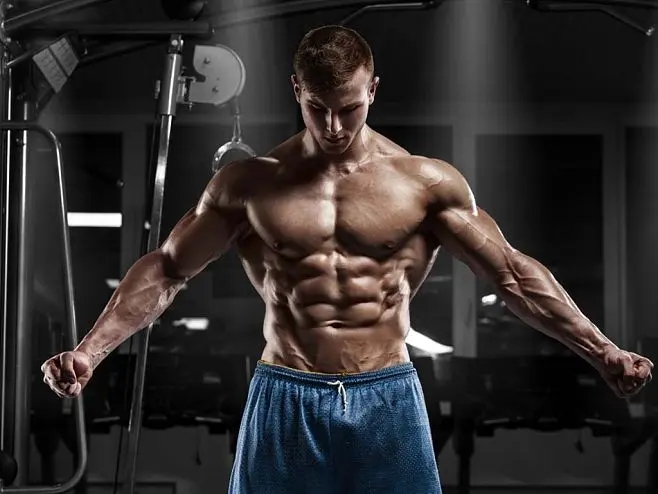 Beginner Steroid Cycles