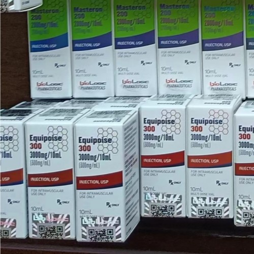 微信图片_20231018094725_副本