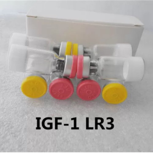 IGF-1 LR3_副本