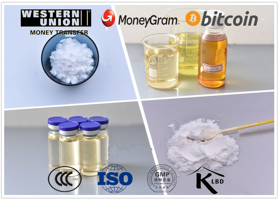 pl19675765-primobolan_depot_fast_muscle_gain_steroids_for_building_muscle_mass_cas_303_42_4